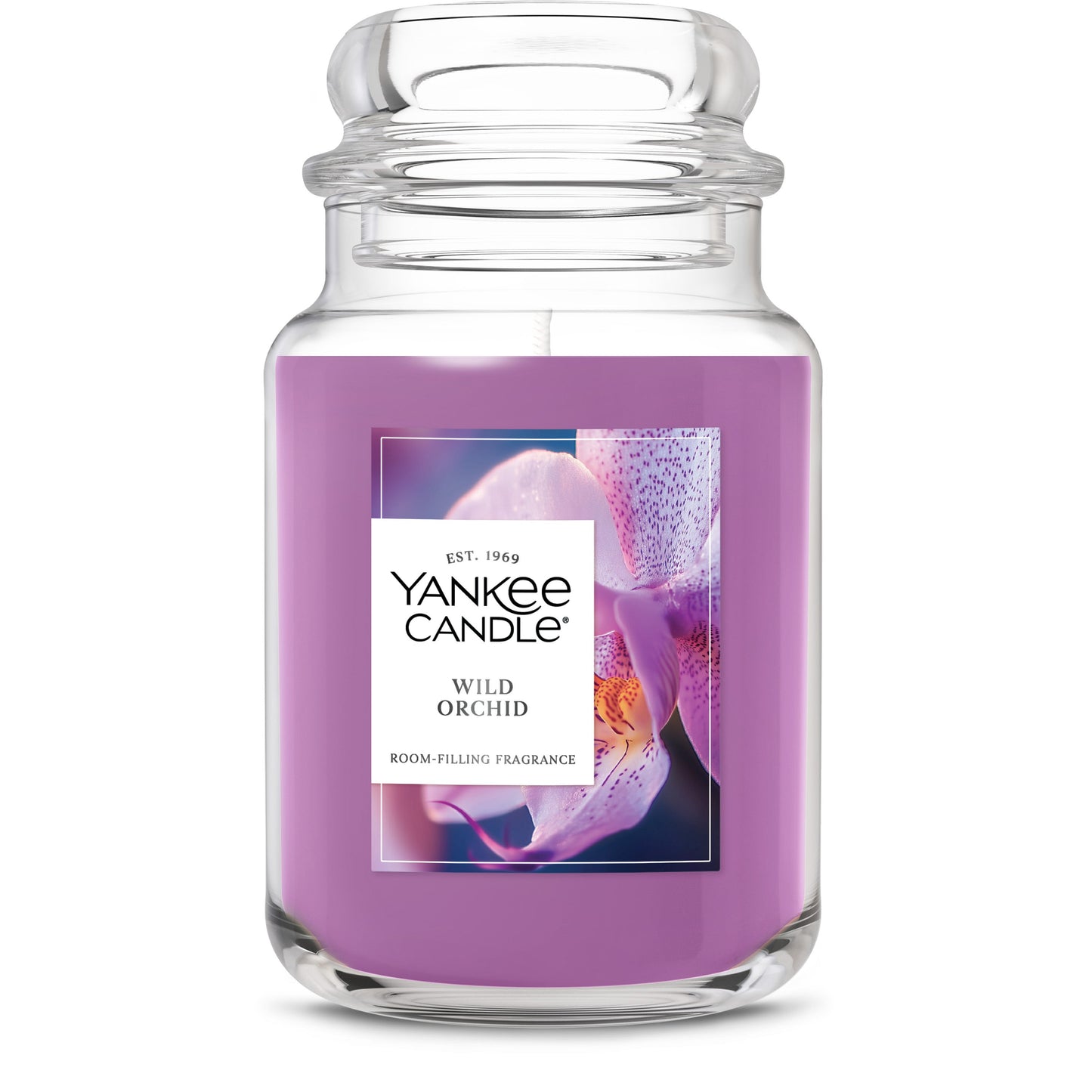 Wild Orchid Daily 6-0582
