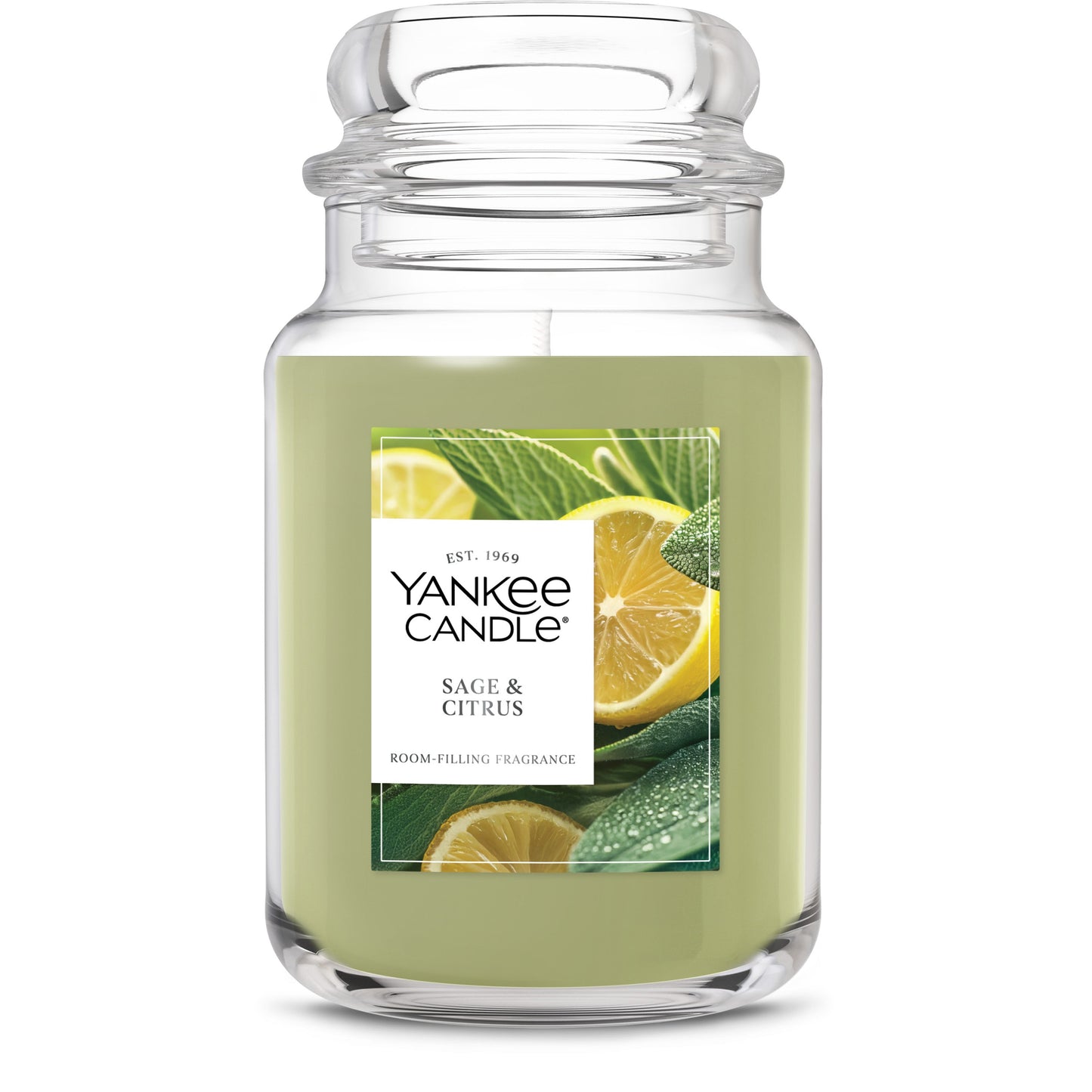 Sage & Citrus Wave 6-0665